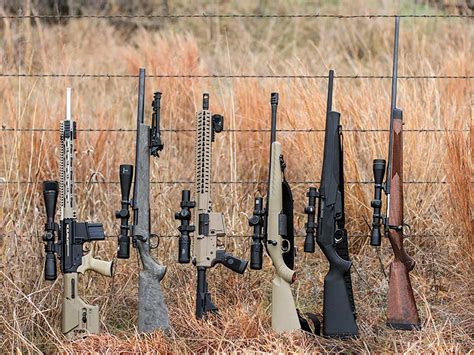 cheap hog hunting rifles